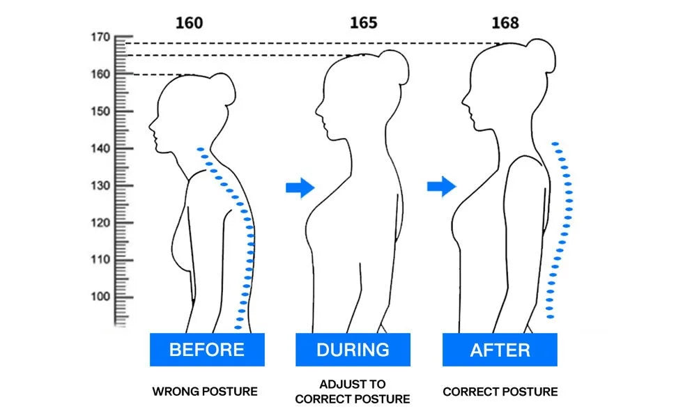 ComfyBrace Posture Support