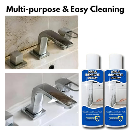 Multipurpose Mold & Mildew Stain Cleaner